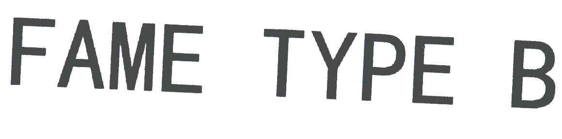FAME TYPE B