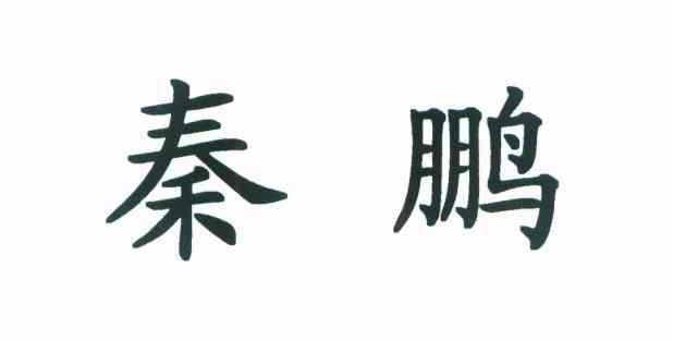秦鹏
