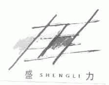 盛力