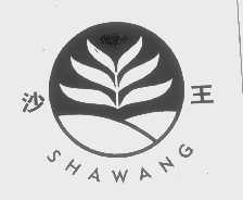 沙王
