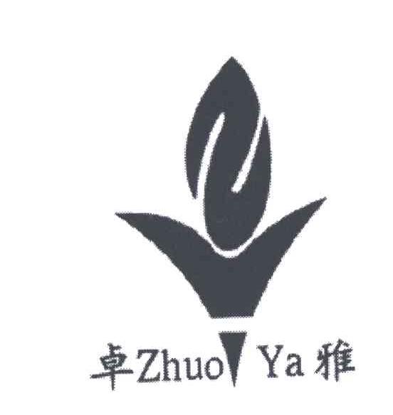 卓雅