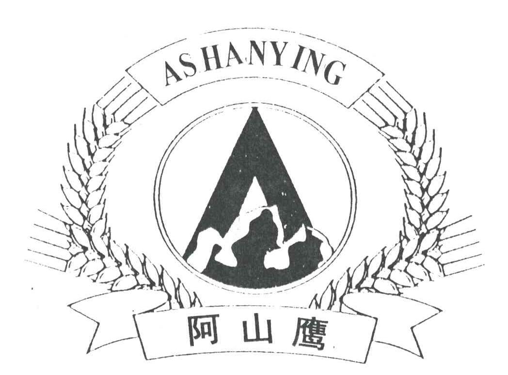 阿山鹰
