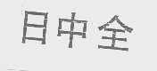 日中全