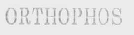 ORTHOPHOS    奥尔托弗斯