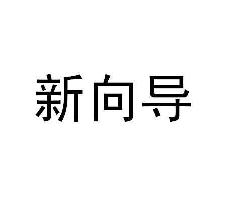 新向导