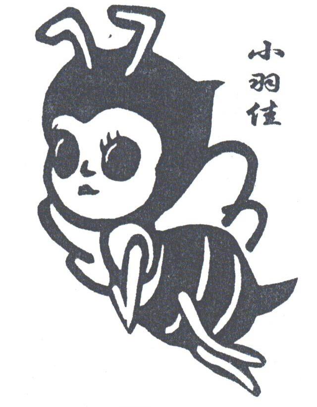 小羽佳