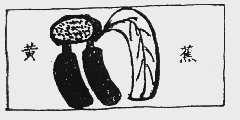 黄蕉