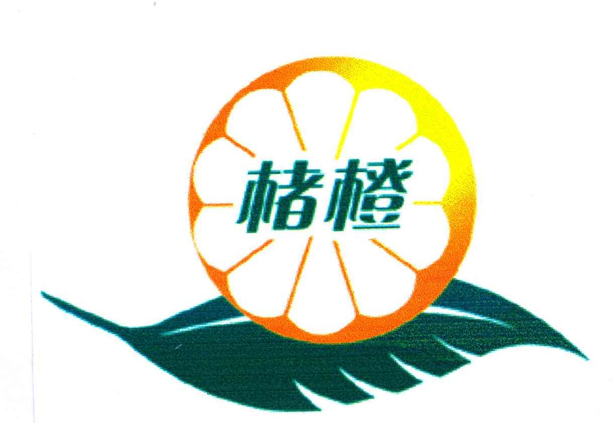 楮橙