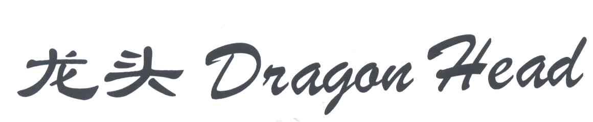 龙头;DRAGAN HEAD