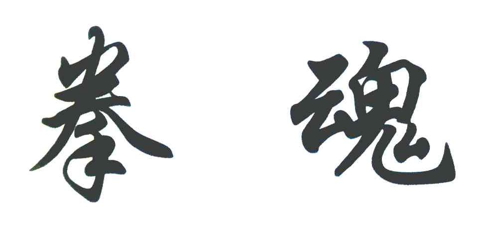 拳魂