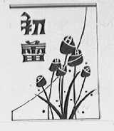 初蕾