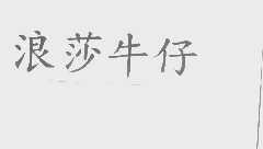 浪莎牛仔