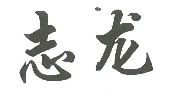 志龙