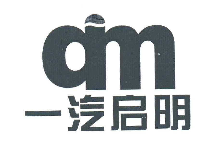 一汽启明;QM
