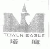 塔鹰;TOWER EAGLE