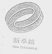 新卓越   NEW OUTSTANDING