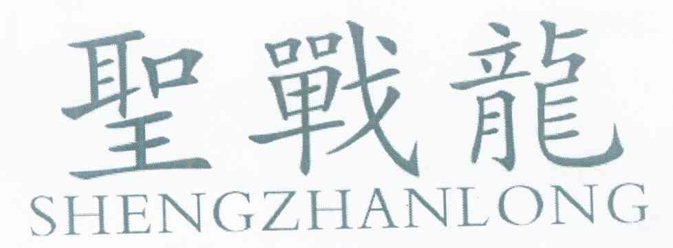 圣战龙
