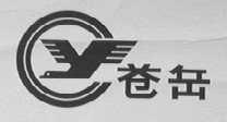 苍岳