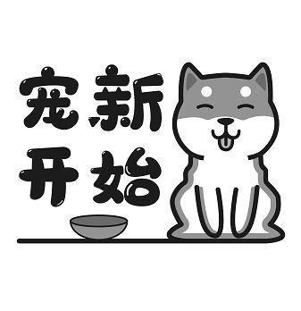 宠新开始