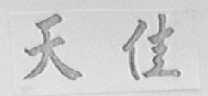 天佳