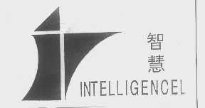 智慧   INTELLIGENCEL