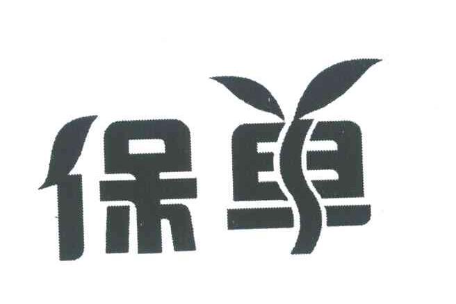 保单