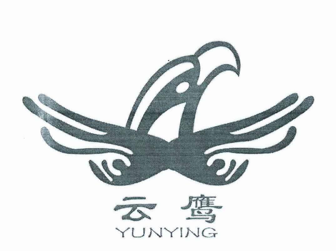 云鹰