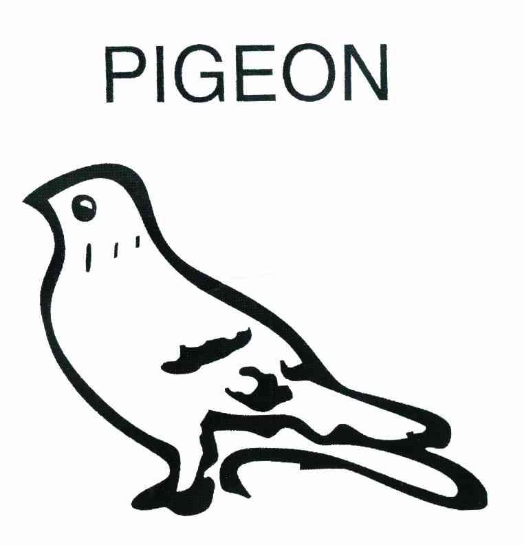 PIGEON