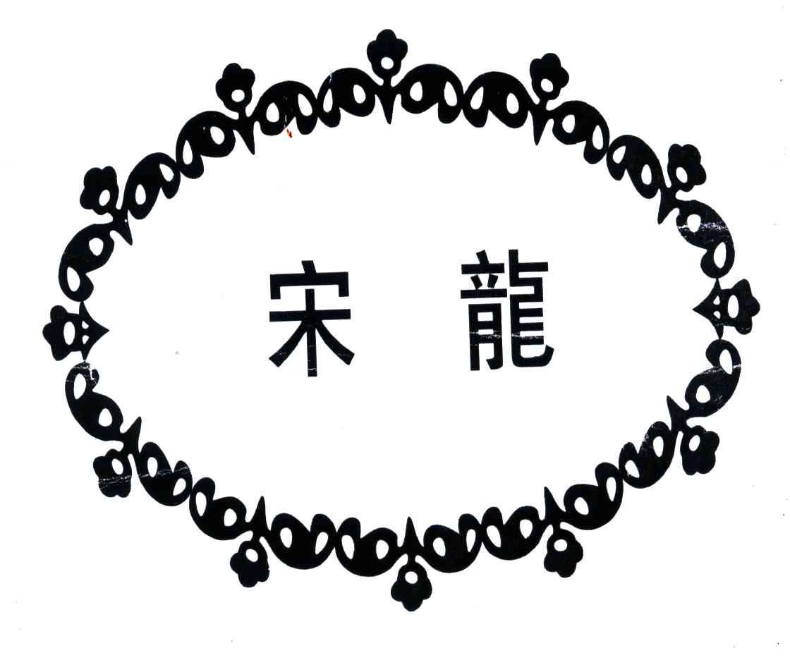 宋龙