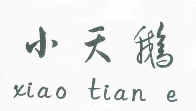 小天鹅