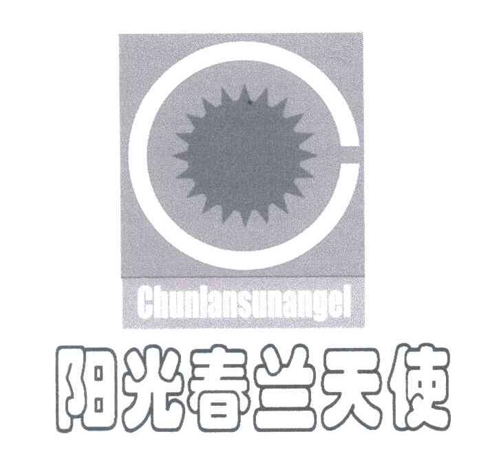 阳光春兰天使;CHUNLANSUNANGEL
