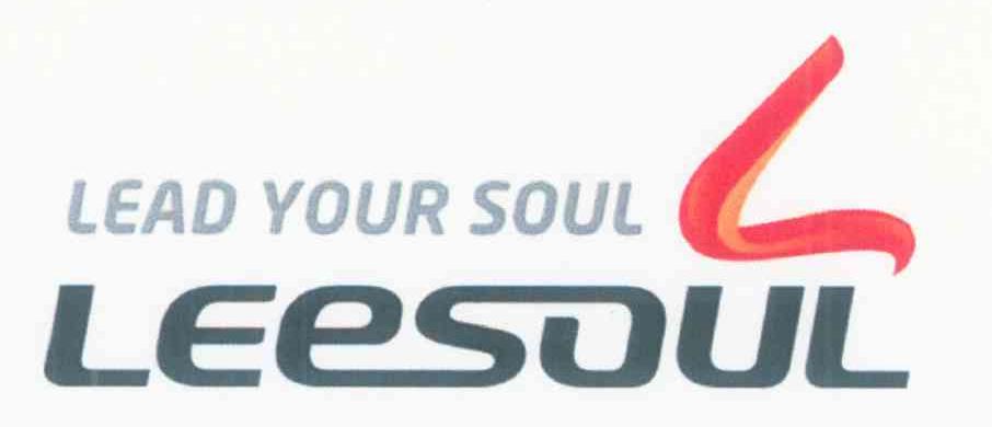 LEAD YOUR SOUL LEESOUL