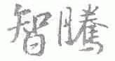 智腾