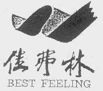 佳弗林  BEST FEELING