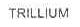 TRILLIUM