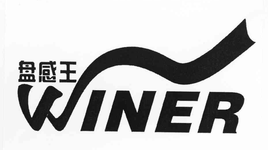 盘感王 WINER