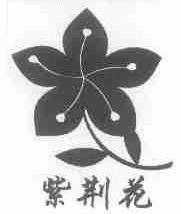 紫荆花