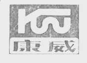 康威