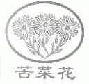 苦菜花