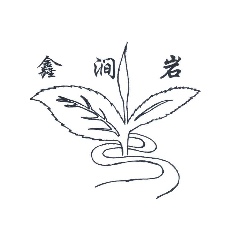 鑫涧岩