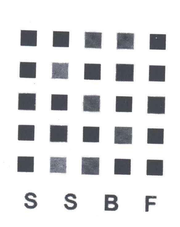 SSBF