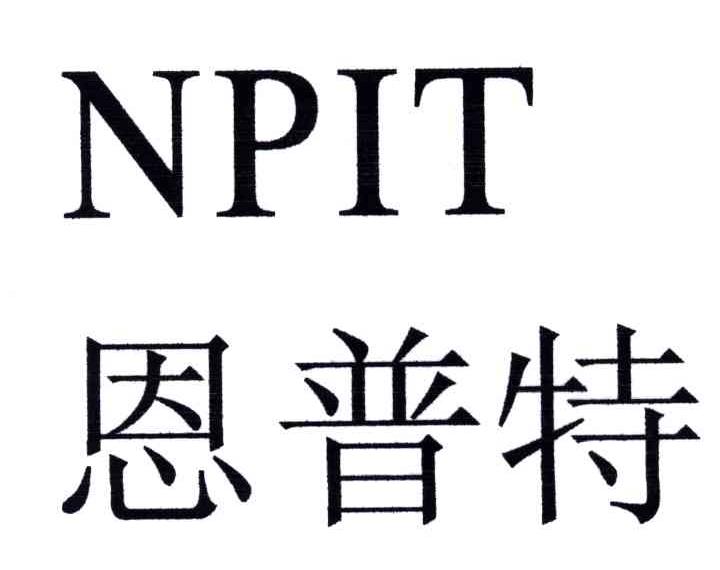 NPIT;恩普特