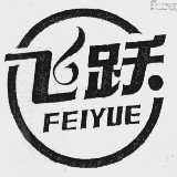 飞跃