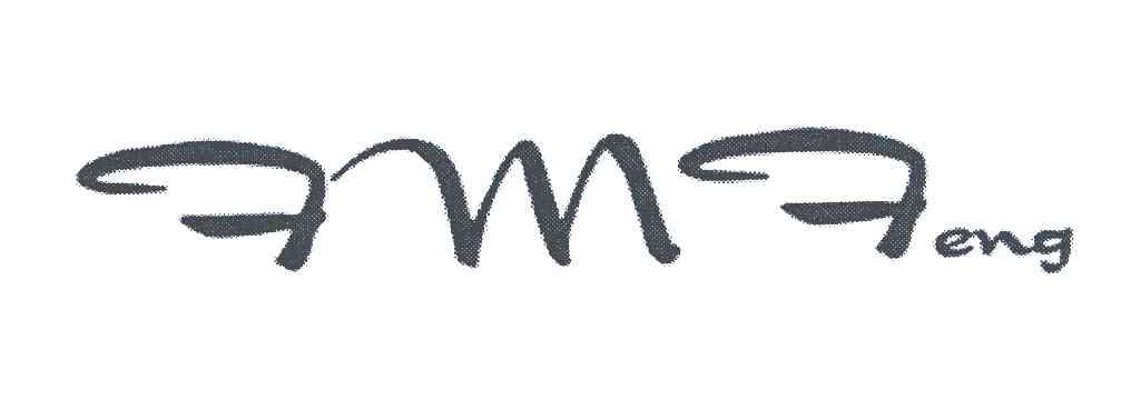 FMFENG