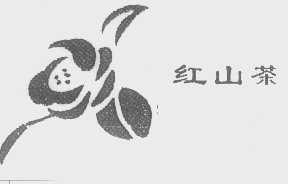 红山茶