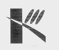 图形