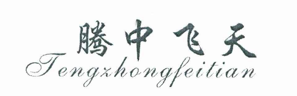 腾中飞天