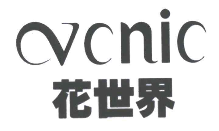 花世界 VCNIC