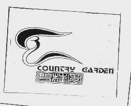 碧桂园   COUNTRY GARDEN