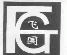飞国